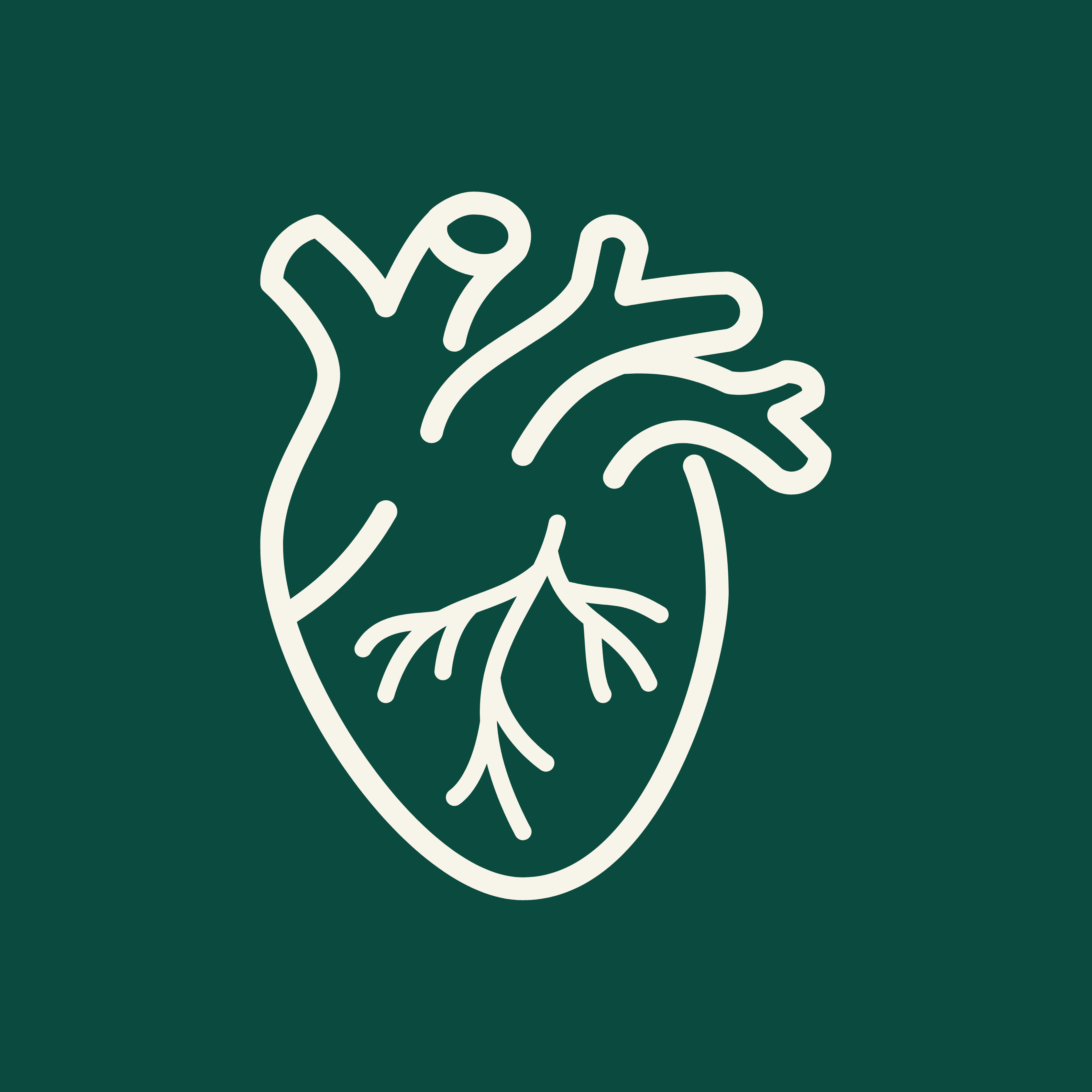 Cardiology